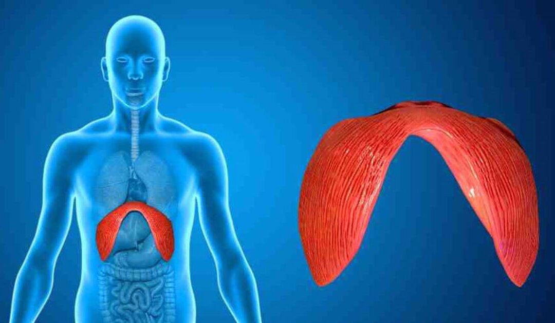 Cervicalgia e Diaframma